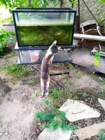 IMG-20190902-WA0048.jpg