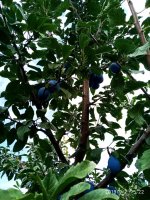 IMG-20190902-WA0047.jpg