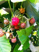 IMG-20190902-WA0042.jpg