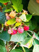 IMG-20190902-WA0040.jpg