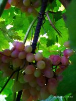 IMG-20190902-WA0037.jpg