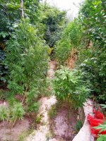 IMG-20190902-WA0050.jpg