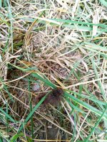 IMG-20190902-WA0058.jpg