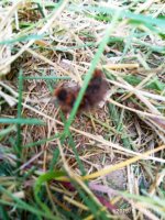 IMG-20190902-WA0057.jpg