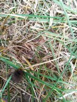 IMG-20190902-WA0056.jpg