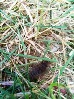 IMG-20190902-WA0055.jpg