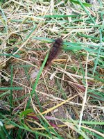 IMG-20190902-WA0054.jpg