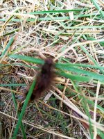 IMG-20190902-WA0053.jpg