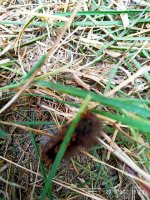 IMG-20190902-WA0052.jpg