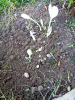 IMG-20190903-WA0007.jpg