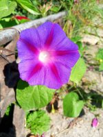 IMG-20190903-WA0008.jpg
