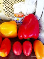IMG-20190903-WA0013.jpg