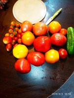 IMG-20190903-WA0012.jpg