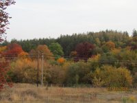 IMG_0849.JPG