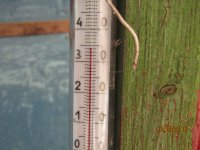 IMG_0664.JPG