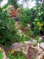 IMG-20190904-WA0013.jpg