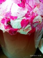 IMG-20190904-WA0022.jpg