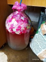 IMG-20190904-WA0021.jpg