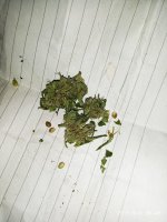 IMG-20190904-WA0046.jpg
