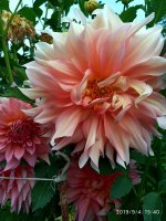 IMG-20190904-WA0045.jpg