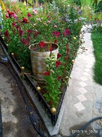 IMG-20190904-WA0044.jpg