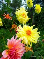 IMG-20190904-WA0039.jpg