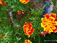 IMG-20190904-WA0038.jpg