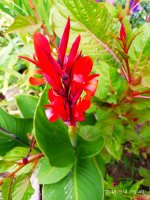 IMG-20190904-WA0037.jpg