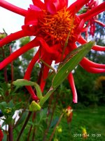 IMG-20190904-WA0034.jpg