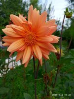 IMG-20190904-WA0032.jpg