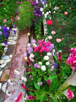 IMG-20190904-WA0030.jpg