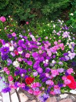 IMG-20190904-WA0026.jpg