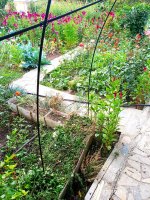 IMG-20190904-WA0025.jpg