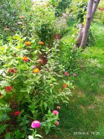 IMG-20190904-WA0024.jpg