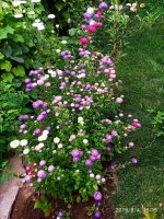 IMG-20190904-WA0023.jpg