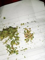 IMG-20190904-WA0048.jpg