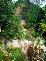IMG-20190905-WA0004.jpg