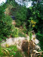 IMG-20190905-WA0003.jpg