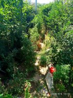 IMG-20190905-WA0008.jpg