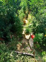 IMG-20190905-WA0006.jpg