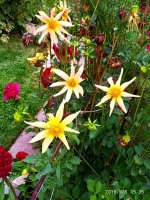IMG-20190906-WA0032.jpg IMG-20190906-WA0032.jpg