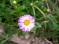 IMG-20190906-WA0028.jpg IMG-20190906-WA0028.jpg