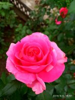 IMG-20190906-WA0027.jpg IMG-20190906-WA0027.jpg