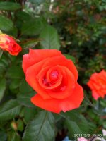 IMG-20190906-WA0023.jpg IMG-20190906-WA0023.jpg