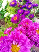 IMG-20190906-WA0012.jpg IMG-20190906-WA0012.jpg