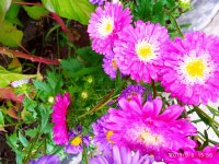 IMG-20190906-WA0004.jpg IMG-20190906-WA0004.jpg