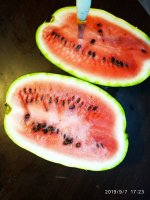 IMG-20190907-WA0013.jpg IMG-20190907-WA0013.jpg