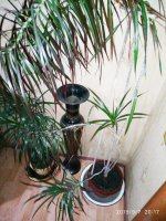 IMG-20190907-WA0016.jpg IMG-20190907-WA0016.jpg