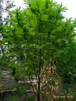 IMG-20190908-WA0013.jpg IMG-20190908-WA0013.jpg