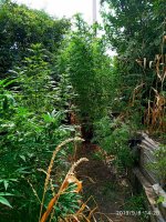 IMG-20190908-WA0007.jpg IMG-20190908-WA0007.jpg